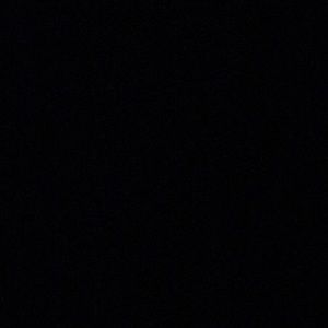 Meet your Posher, Owen